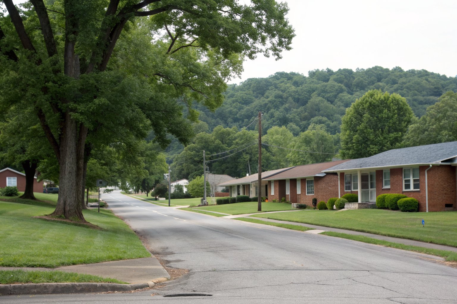 Quiet street of one-story red brick ranch houses under big oaks, with a wooded ridge beyond